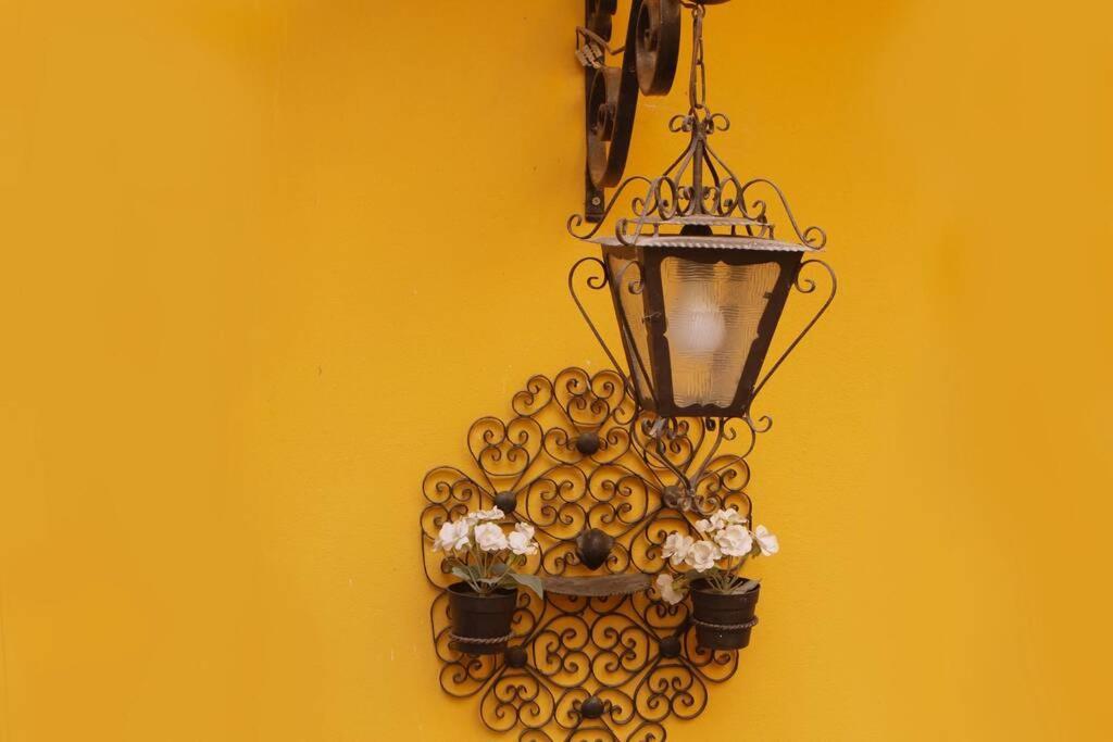 Cedofeita Village ปอร์โต ภายนอก รูปภาพ